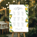 Seating plan A1 made of acrylic glass "Roses" | Custom sign